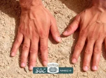 تیمم بر چه چیزهایی صحیح است