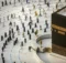 هزینه حج عمره چقدر است